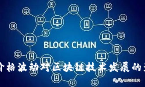 比特币价格波动对区块链技术发展的影响分析