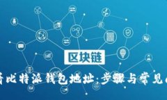 xml如何查看比特派钱包地址：步骤与常见问题解