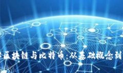 深入了解区块链与比特币：从基础概念到实际应