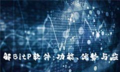 深入了解BitP软件：功能、优势与应用场景