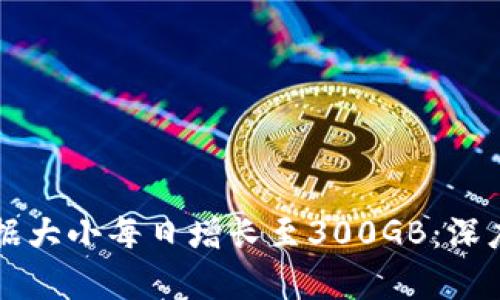 比特币区块链数据大小每日增长至300GB：深度解析与未来展望