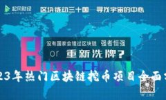 2023年热门区块链挖币项目全面分析