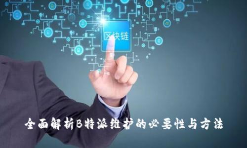 全面解析B特派维护的必要性与方法