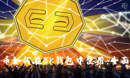 人民币如何在BK钱包中使用：全面指南