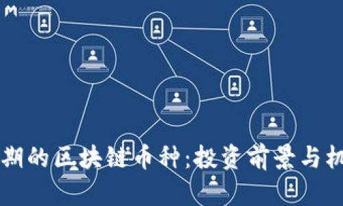 未来可期的区块链币种：投资前景与机会分析