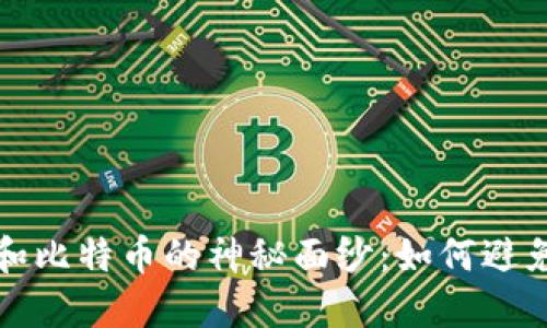 揭开区块链和比特币的神秘面纱：如何避免骗局与陷阱