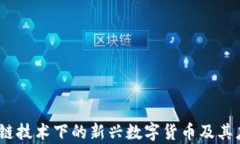 风行币：区块链技术下的新兴数字货币及其应用