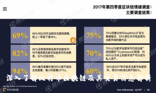 深入了解比特币区块链及其交易信息解析