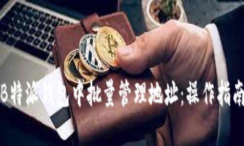 如何在B特派钱包中批量管理地址：操作指南与技巧