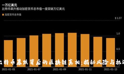 比特币暴跌背后的区块链真相：揭秘风险与机遇