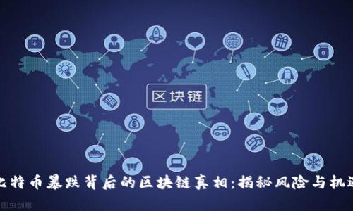 比特币暴跌背后的区块链真相：揭秘风险与机遇