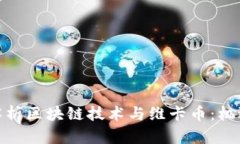 : 深入解析区块链技术与维卡币：机遇与挑战