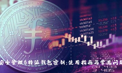 如何安全管理B特派钱包密钥：使用指南与常见问题解答