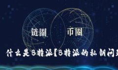 ### 什么是B特派？B特派的私钥问题解析