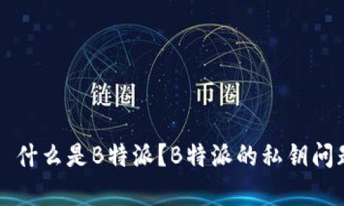 ### 什么是B特派？B特派的私钥问题解析