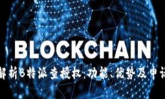 全面解析B特派查授权：功能、优势及申请流程