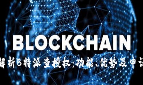全面解析B特派查授权：功能、优势及申请流程