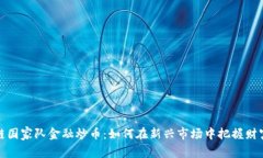 区块链国家队金融炒币：如何在新兴市场中把握