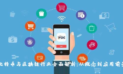 比特币与区块链行业全面解析：从概念到应用前景