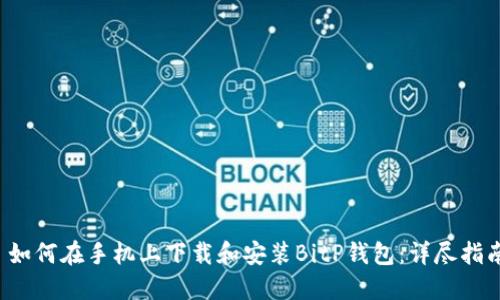  如何在手机上下载和安装BitP钱包：详尽指南