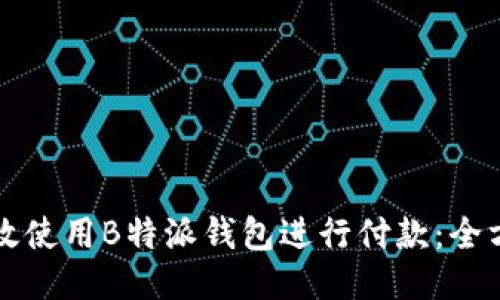 如何高效使用B特派钱包进行付款：全方位指南