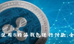如何高效使用B特派钱包进行付款：全方位指南