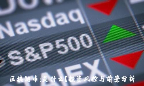   
区块链币：是什么？投资风控与前景分析
