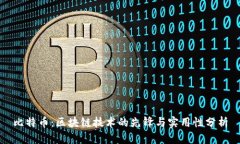 比特币：区块链技术的先锋与实用性分析