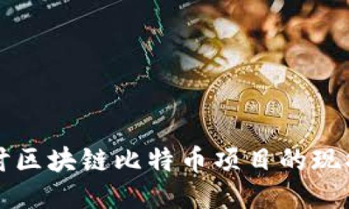 深入探讨区块链比特币项目的现状与未来