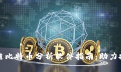 最全面的区块链比特币分析软件指南：助力投资