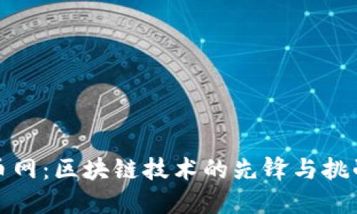 火币网：区块链技术的先锋与挑战者