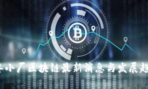 2023年小厂区块链最新消息与发展趋势分析