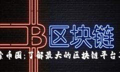深入探索币圈：了解最大的区块链平台及其潜力