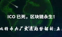 2023年区块链与比特币大厂发展趋势解析：未来展