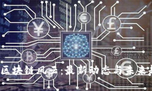 2023年区块链风云：最新动态与未来趋势分析