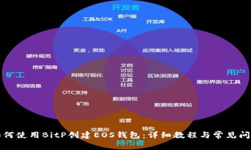 如何使用BitP创建EOS钱包：详细教程与常见问题