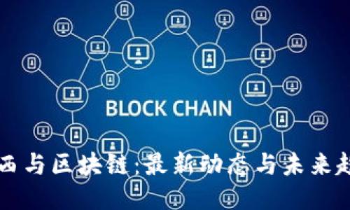 巴西与区块链：最新动态与未来趋势